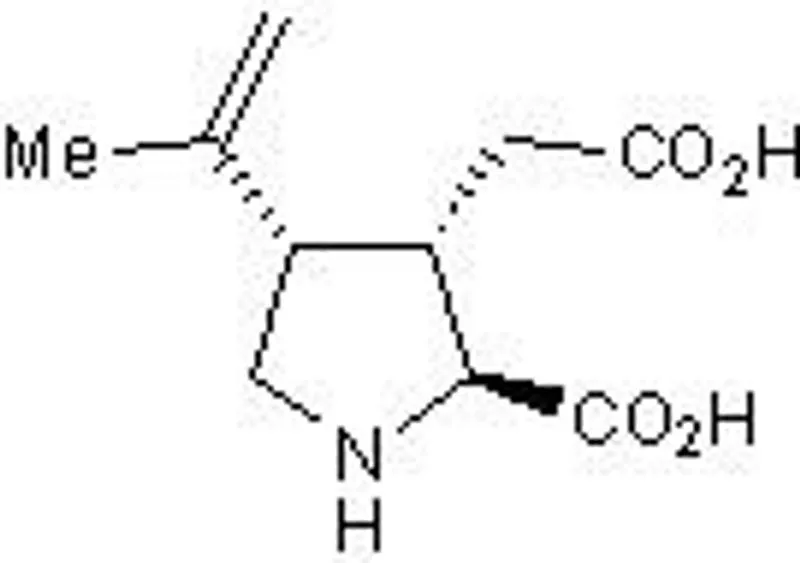 Kainic Acid